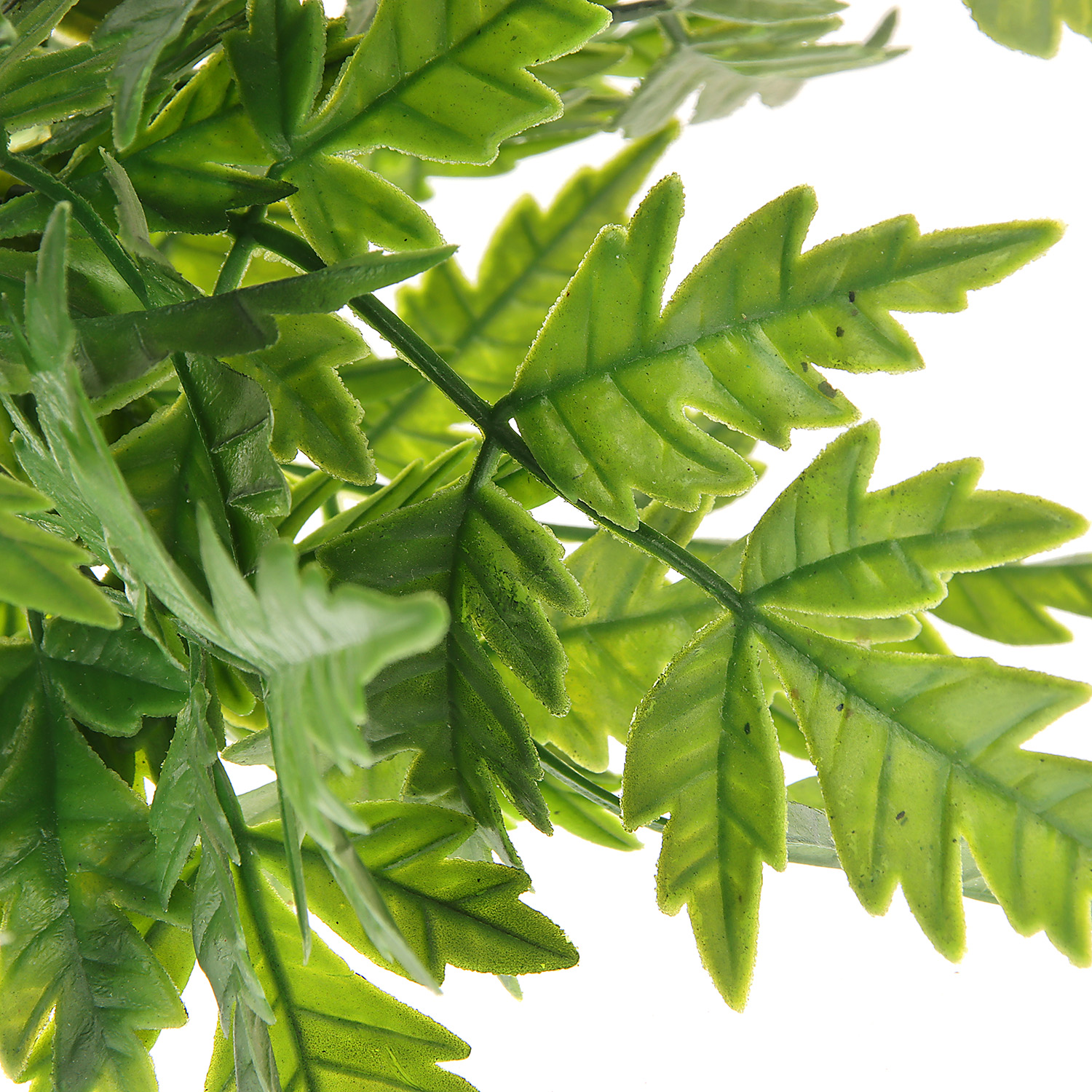 Букет "Филодендрон изящный" 27 см, зелёный  9499379