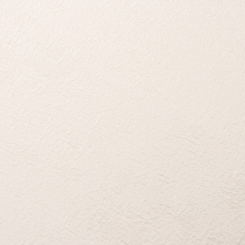 Обои флиз "WallSecret Basic" Air фон 8969-00 10*1,06м *6