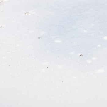 Обои флиз "WallSecret Basic" 8718-17 10*1,06м *6