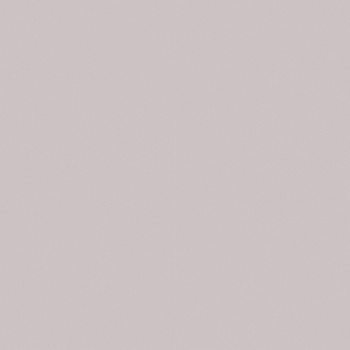 Обои флиз "WallSecret Basic" 8821-06  10*1,06м *6