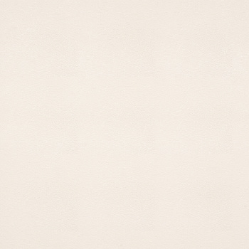 Обои флиз "Антураж" NIAGARA фон AN9027-11 10*1,06м *6